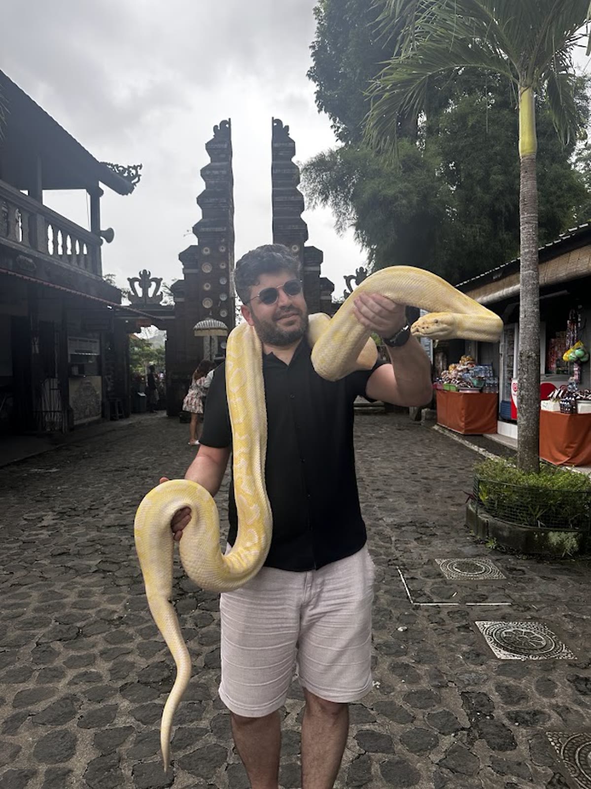 Kocaman sarı piton kollarımda ve boynumda; gülümsüyorum ama kalp atışım fotoğrafa yansımıyor